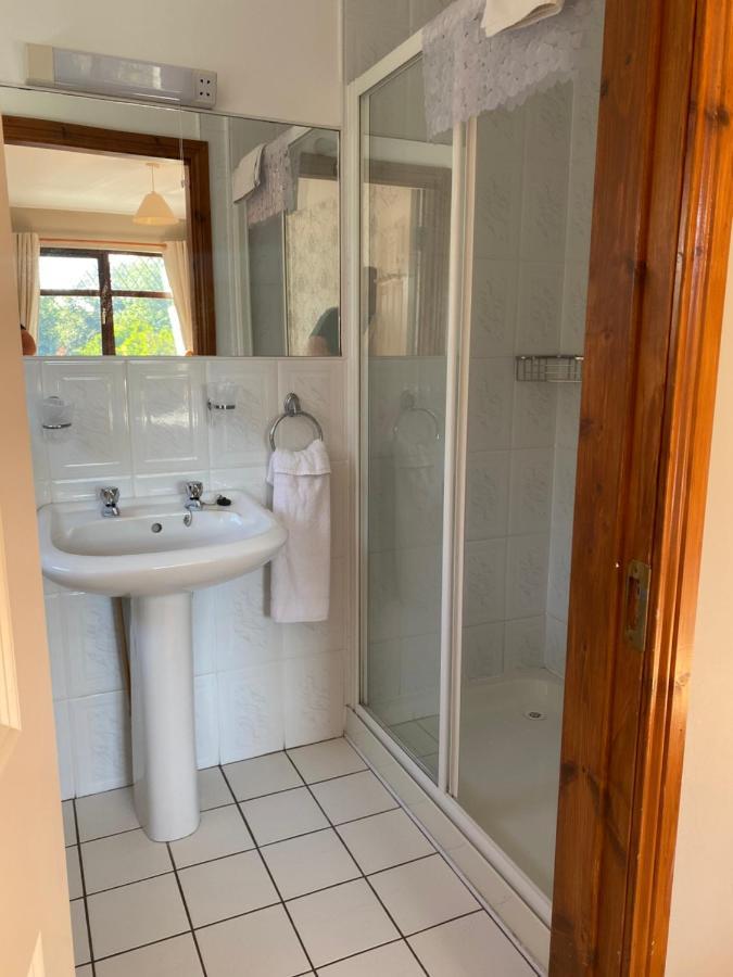 Гостевой дом Davmar House Blarney Корк Экстерьер фото