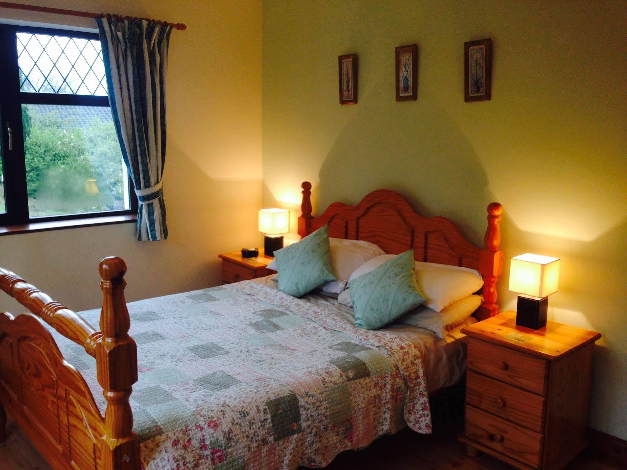 Гостевой дом Davmar House Blarney Корк Экстерьер фото